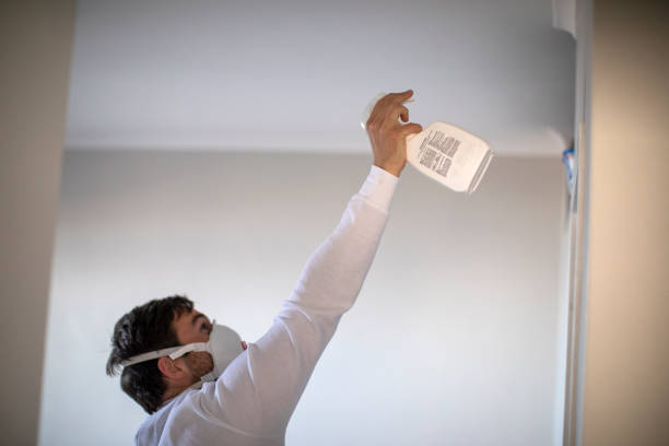 Best Mold Damage Repair  in Lynn Haven, FL